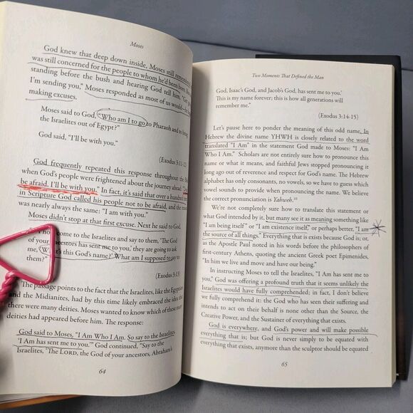 Moses In the Footsteps of the Reluctant Prophet Book by Adam Hamilton 2017 HC - Picture 5 of 14